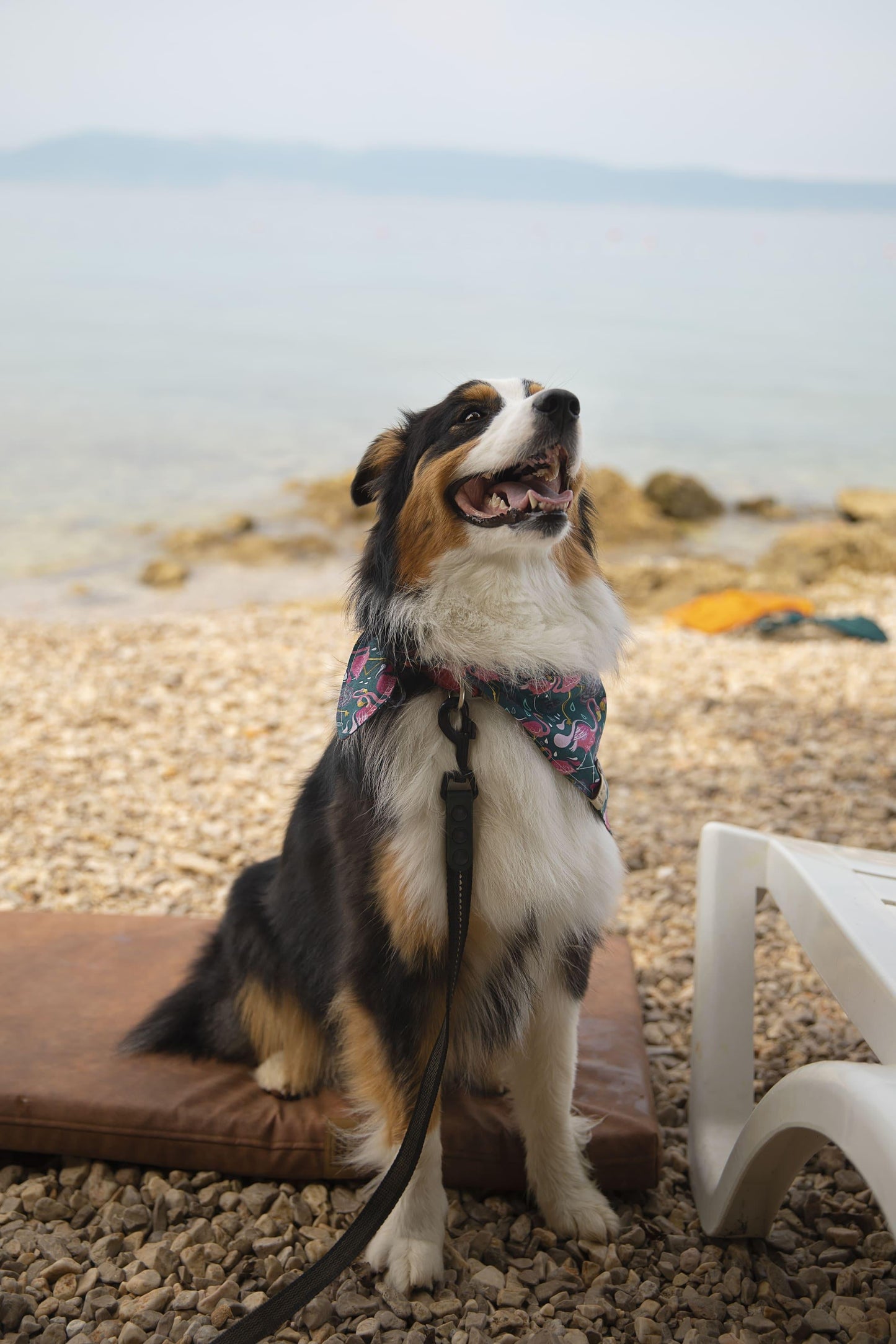 Dog crate mattress | Travel dog bed | 2-sided | Water resistant | TAWNY BROWN | animalistus