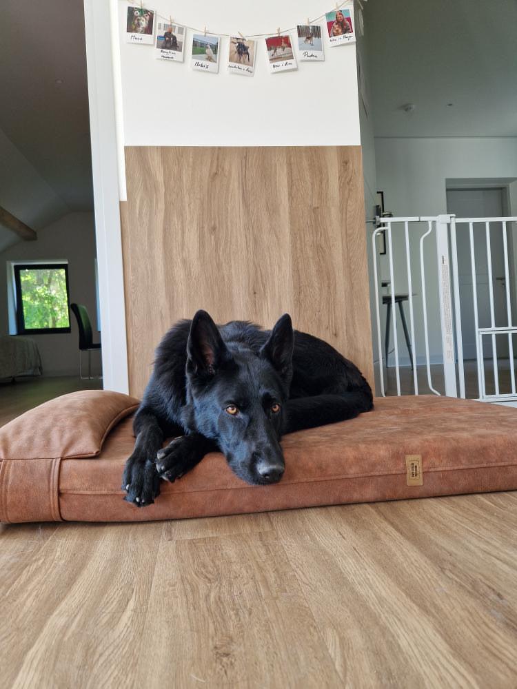 Dog's bedroom bed | ComfySupport+ | 2-sided | Water resistant | TAWNY BROWN | animalistus