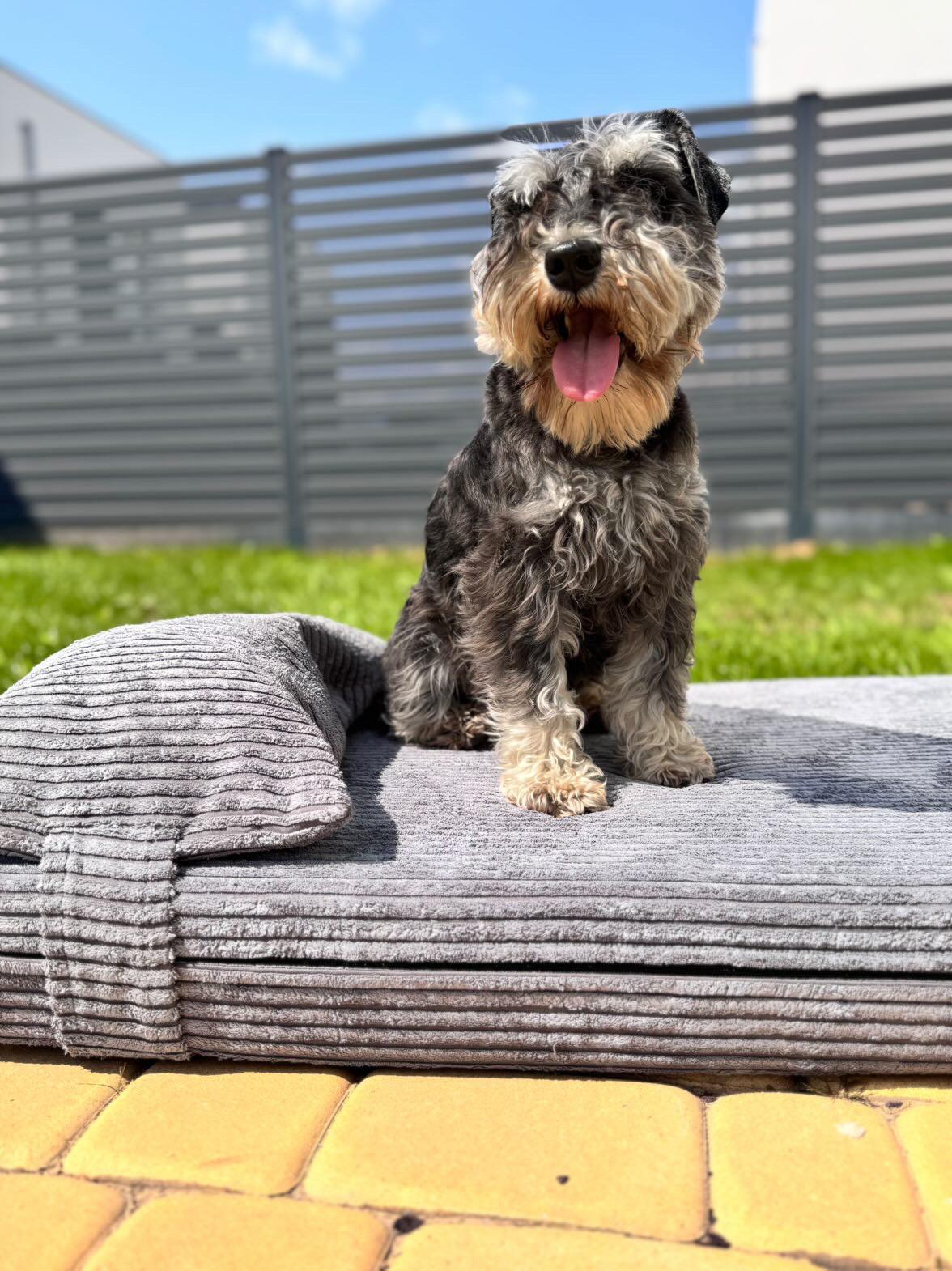 <tc>Velvetinis šuns guolis - miegamojo lova | Dvipusis | DEBESŲ PILKA</tc>