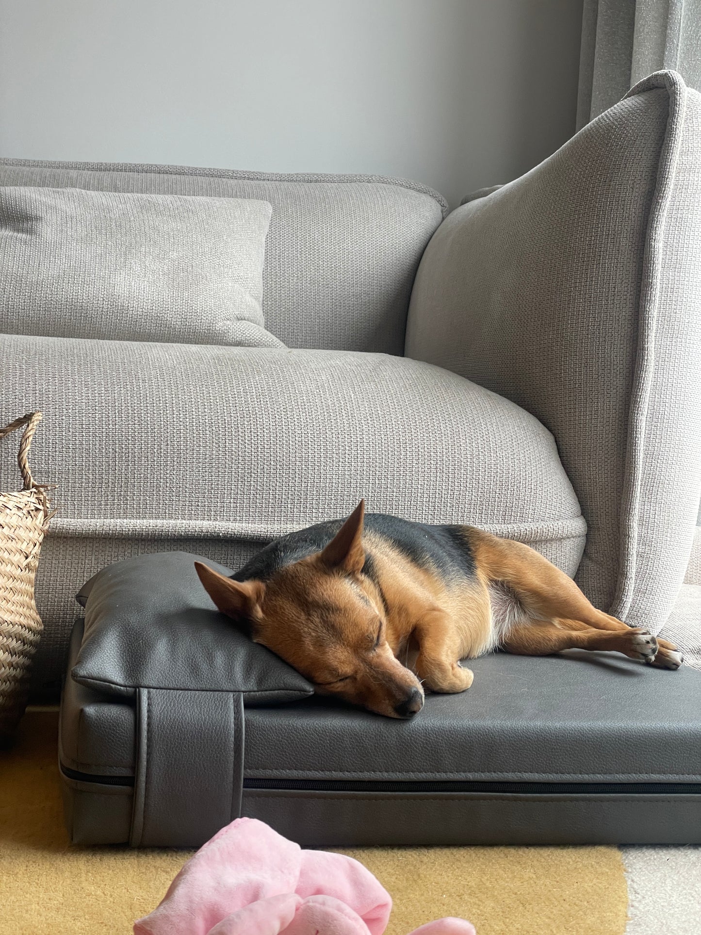 <tc>Dirbtinės odos šuns guolis | Dvipusis | ASFALTO PILKA</tc>