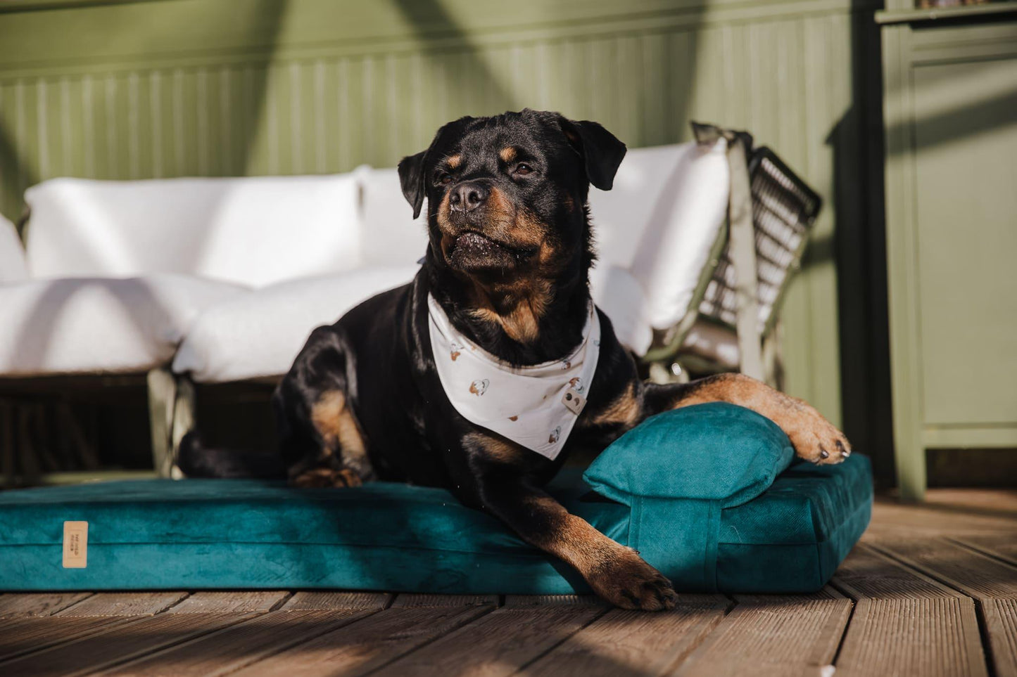 Dog's bedroom bed | ComfySupport+ | 2-sided | OCEAN GREEN | animalistus