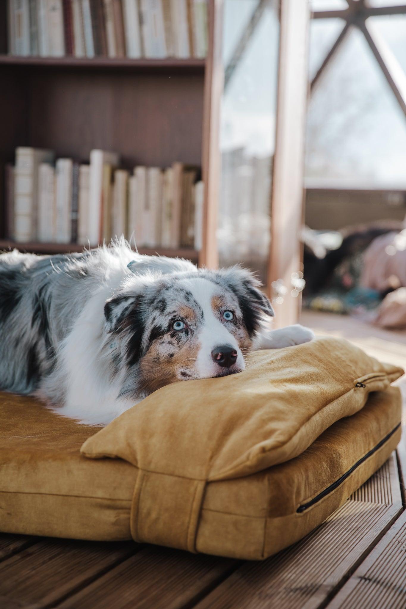Dog's bedroom bed | ComfySupport+ | 2-sided | AMBER YELLOW | animalistus