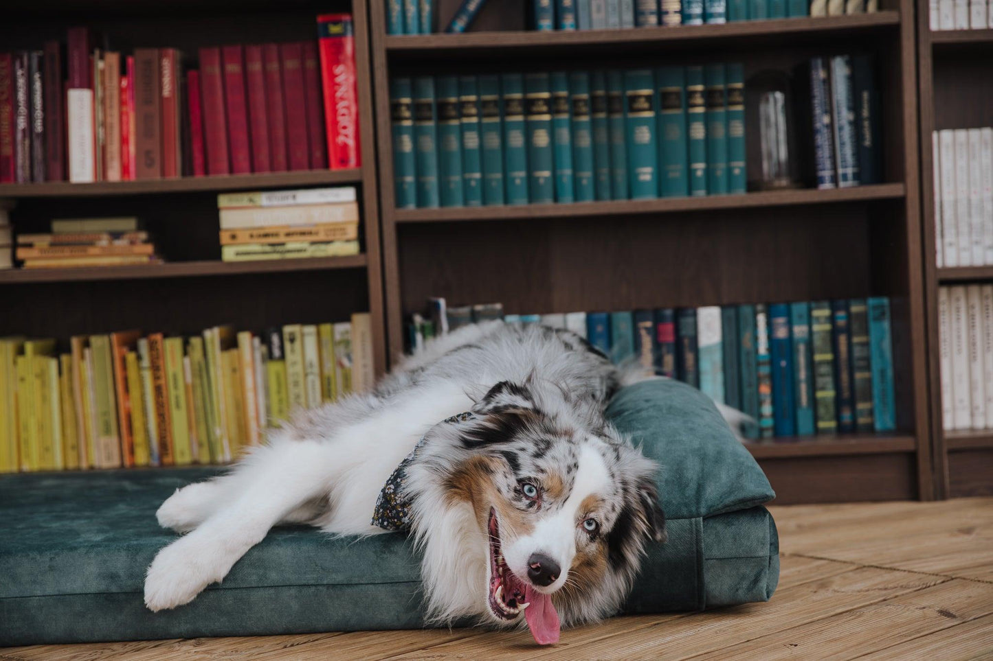 Dog's bedroom bed | ComfySupport+ | 2-sided | DUSTY GREEN | animalistus