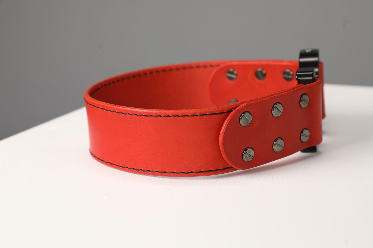 Red leather dog collar with COBRA® buckle | animalistus