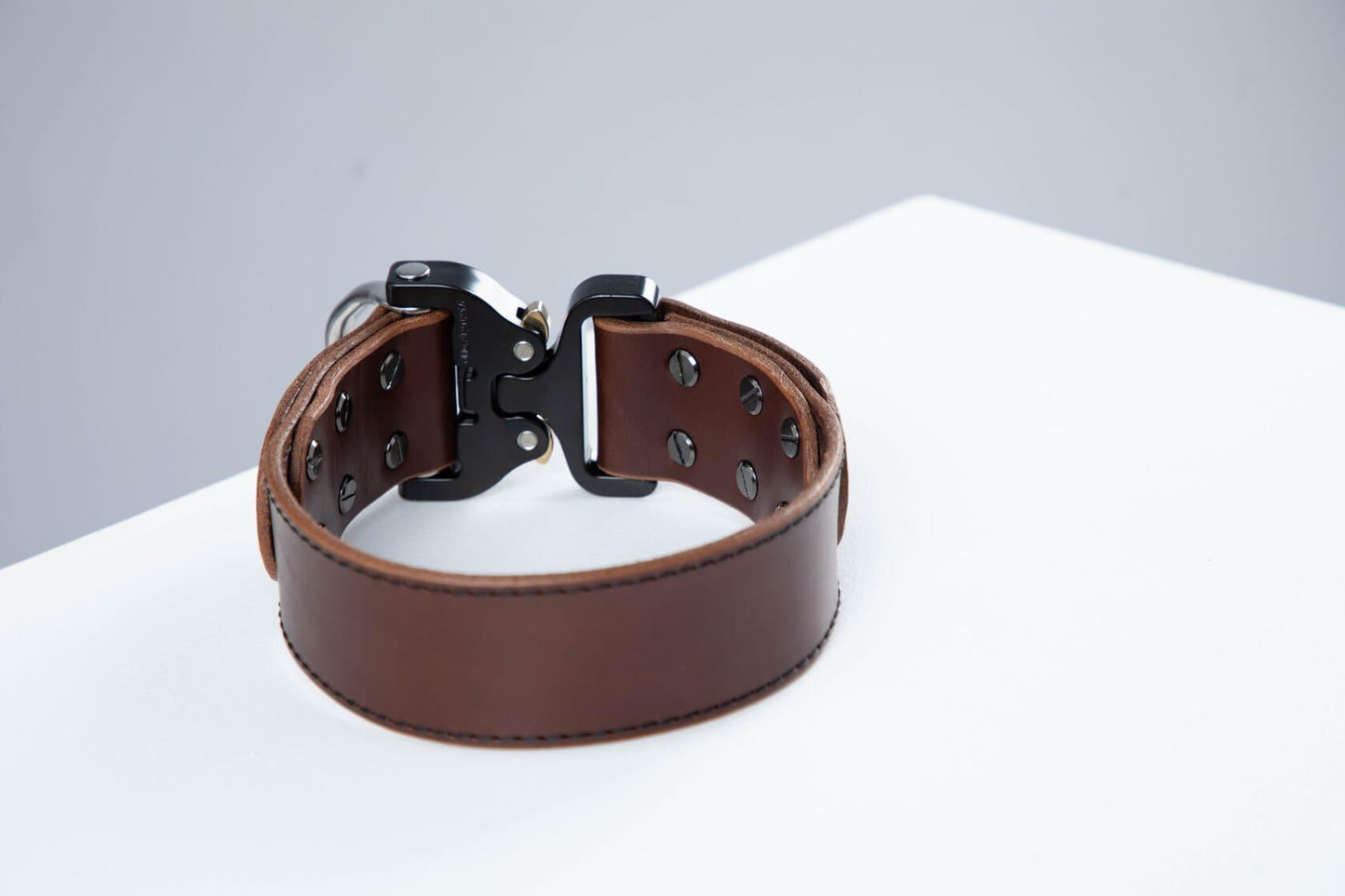 Brown leather dog collar with COBRA® buckle | animalistus