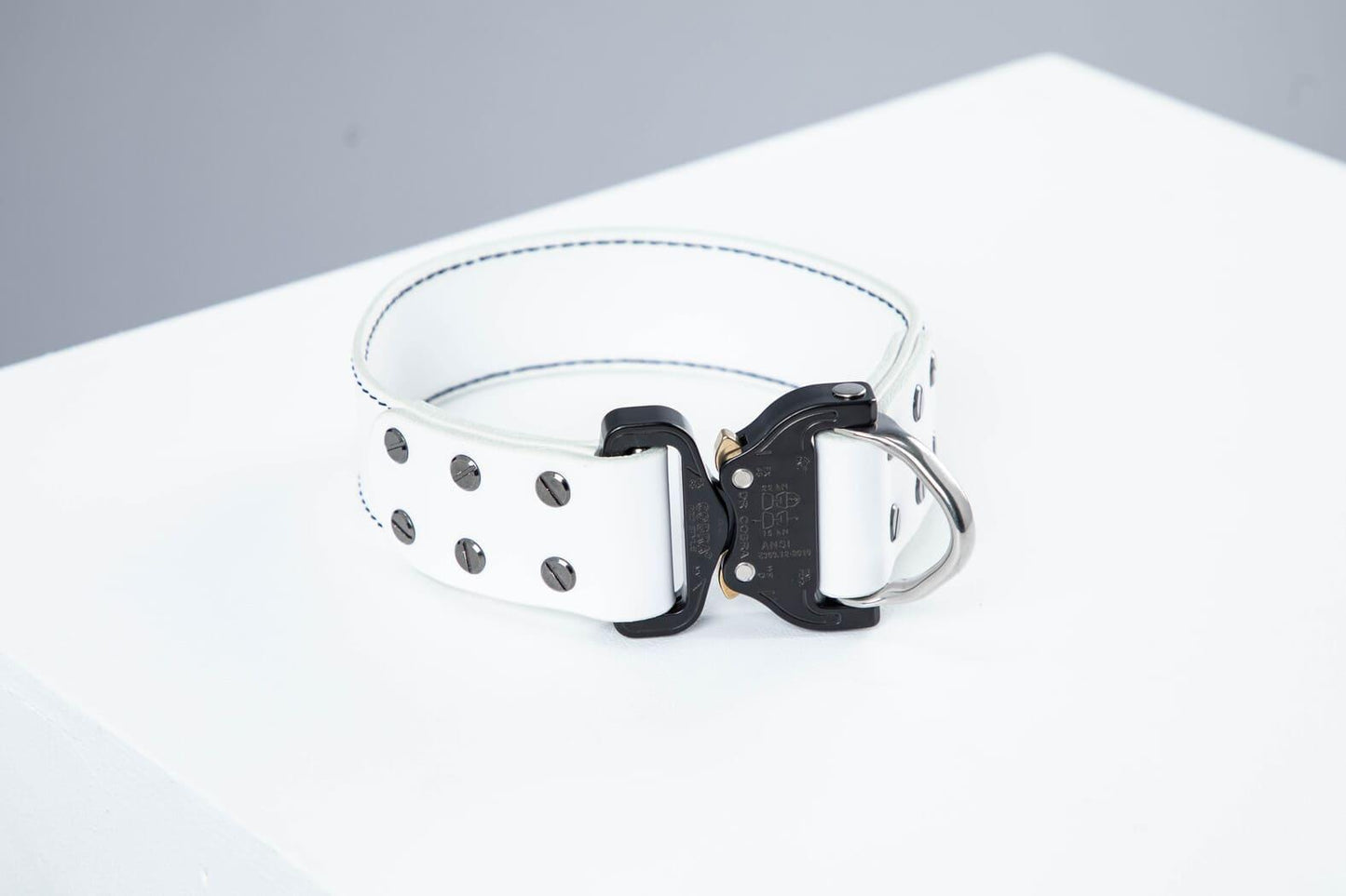 White leather dog collar with COBRA® buckle | animalistus