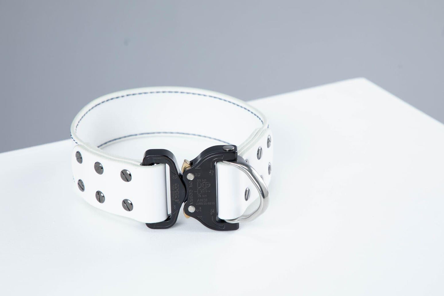 White leather dog collar with COBRA® buckle | animalistus
