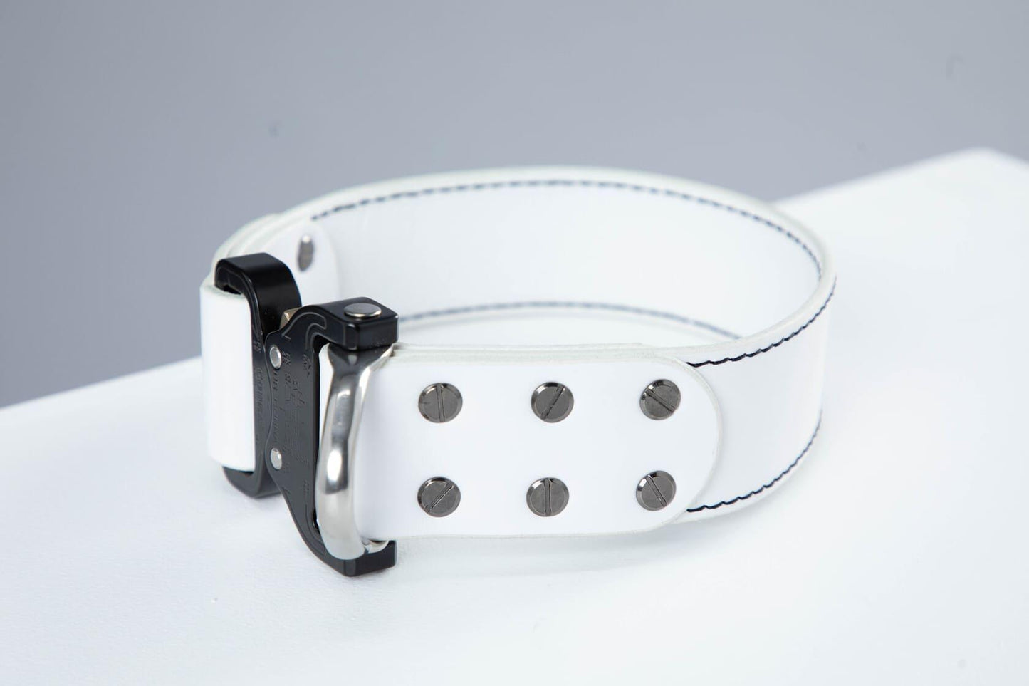 White leather dog collar with COBRA® buckle | animalistus