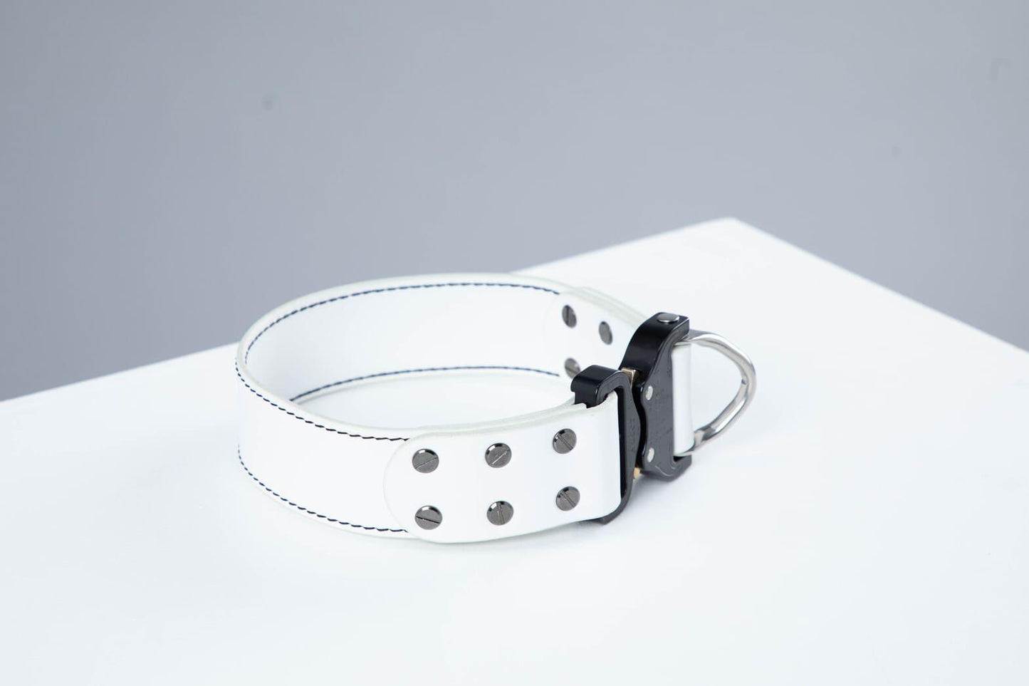White leather dog collar with COBRA® buckle | animalistus