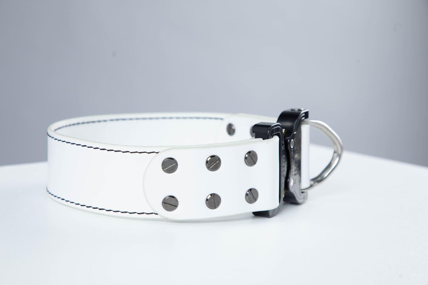 White leather dog collar with COBRA® buckle | animalistus