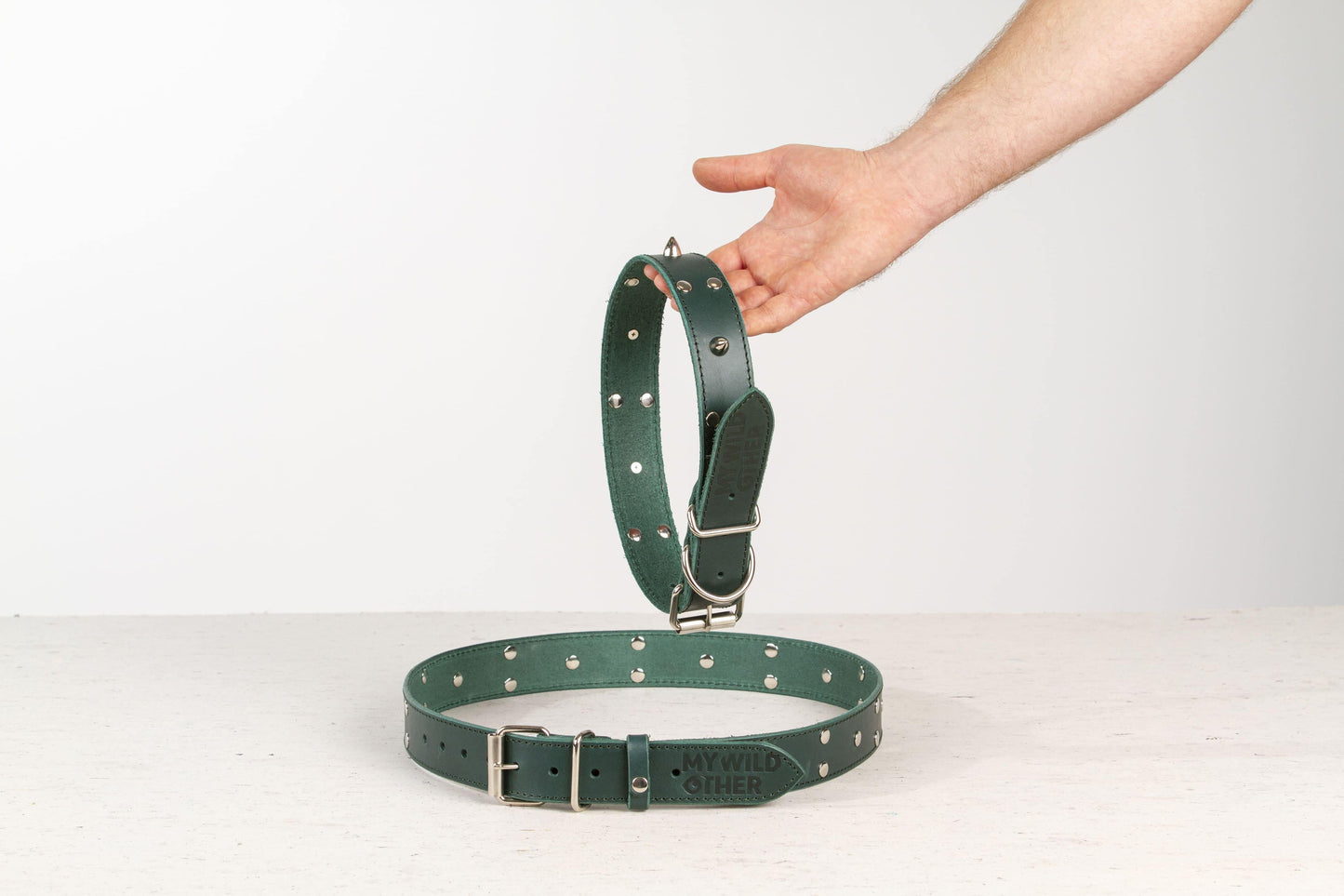 Handmade green leather STUDDED dog collar | animalistus