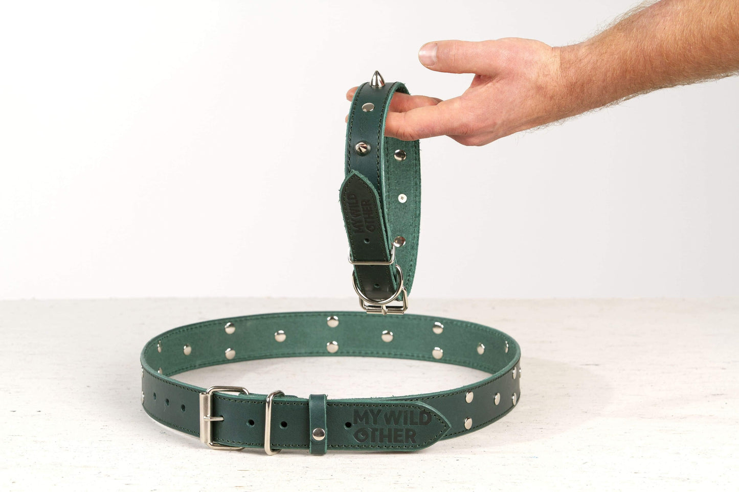 Handmade green leather STUDDED dog collar | animalistus