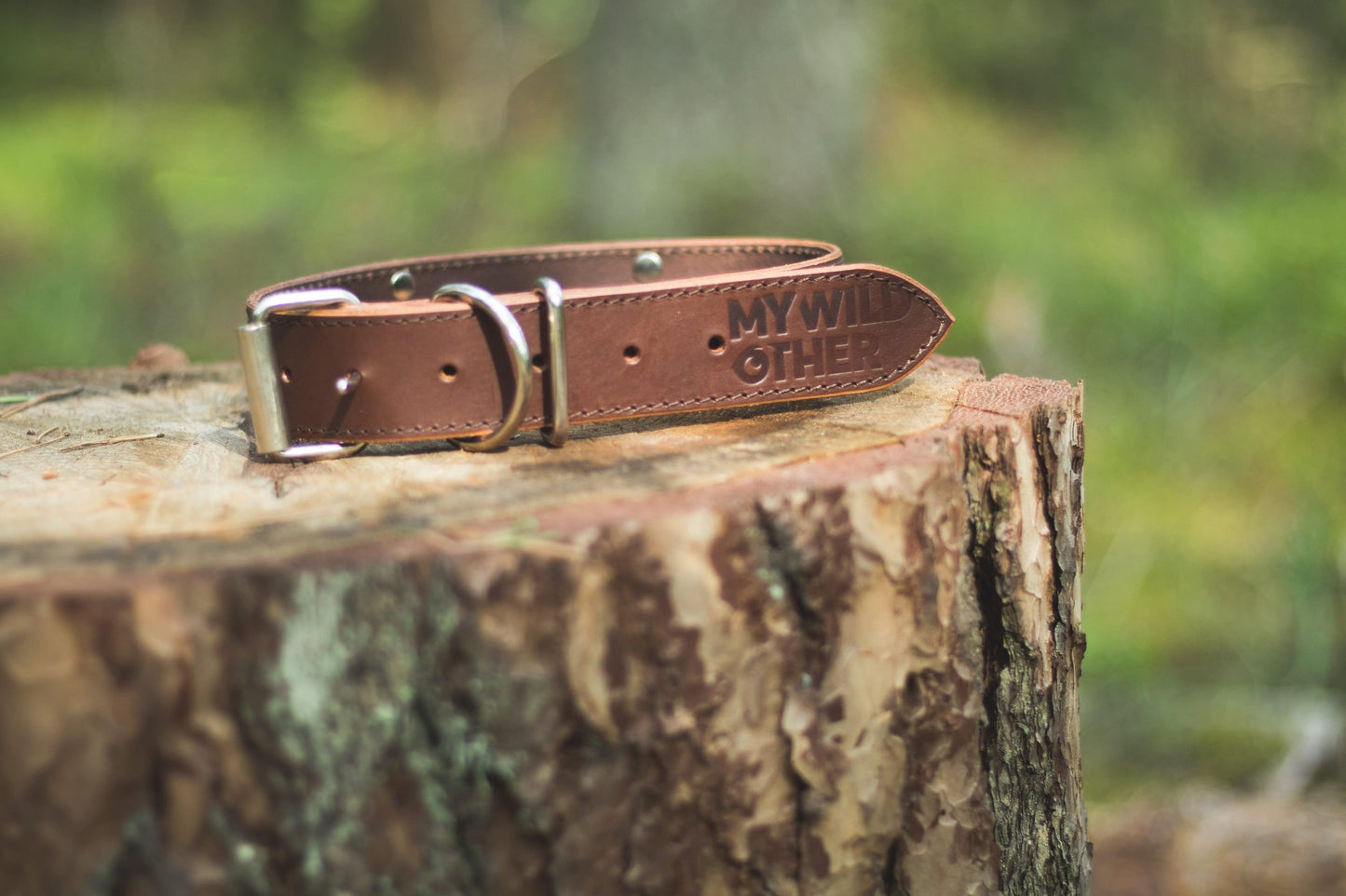 Handmade brown leather STUDDED dog collar | animalistus