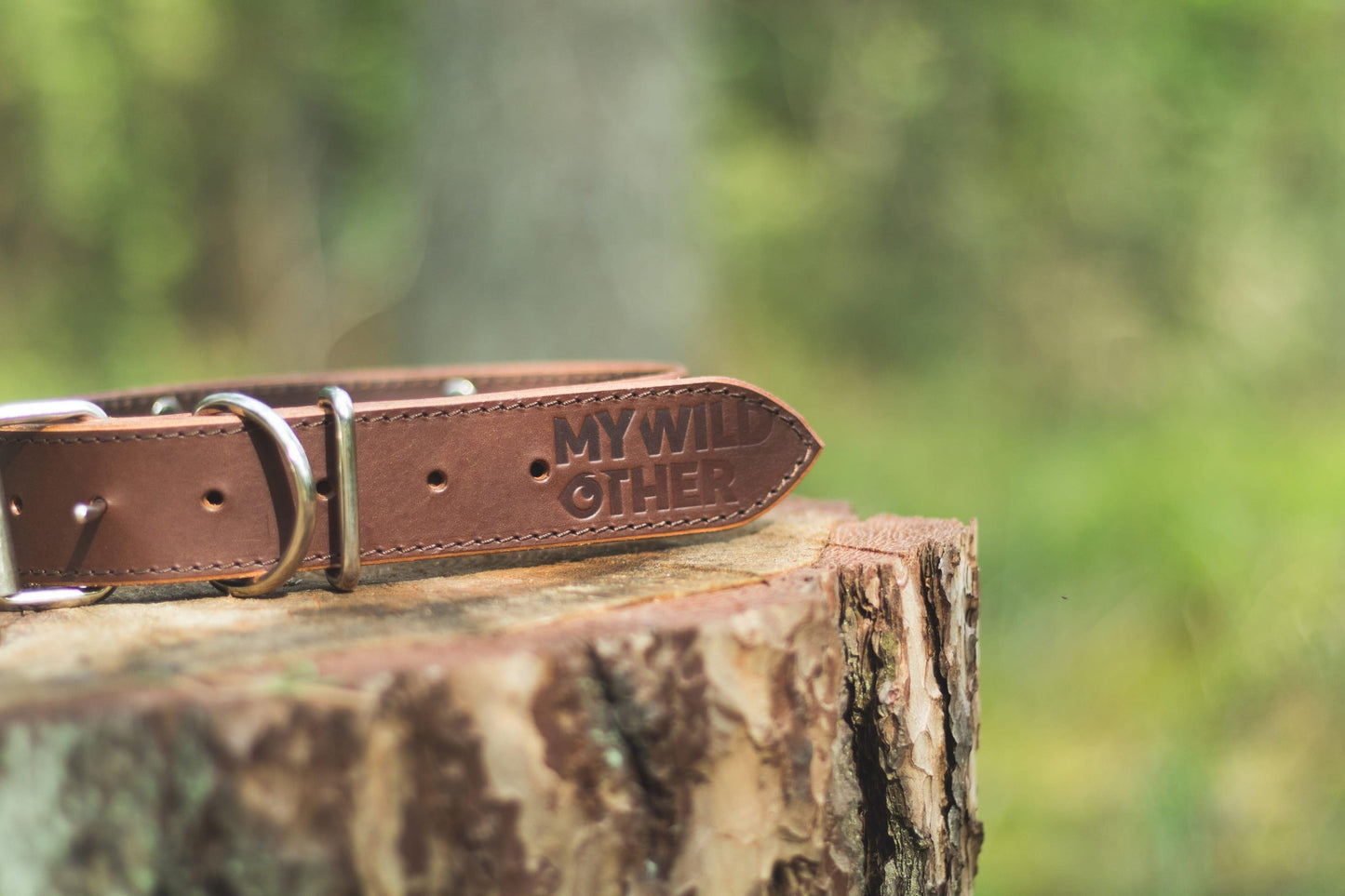 Handmade brown leather STUDDED dog collar | animalistus