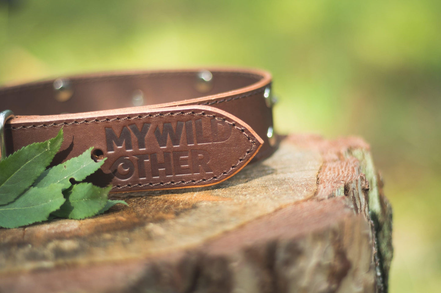 Handmade brown leather STUDDED dog collar | animalistus