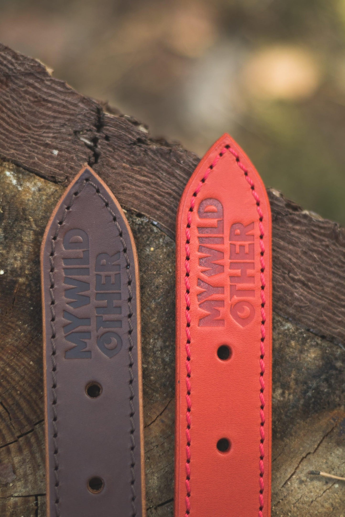 Handmade brown leather STUDDED dog collar | animalistus