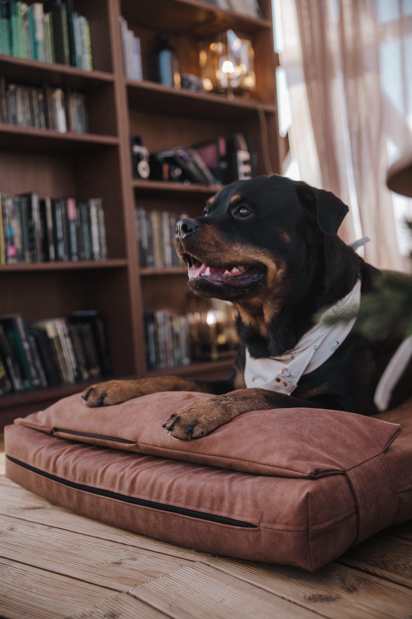 Dog's bedroom bed | ComfySupport+ | 2-sided | Water resistant | TAWNY BROWN | animalistus