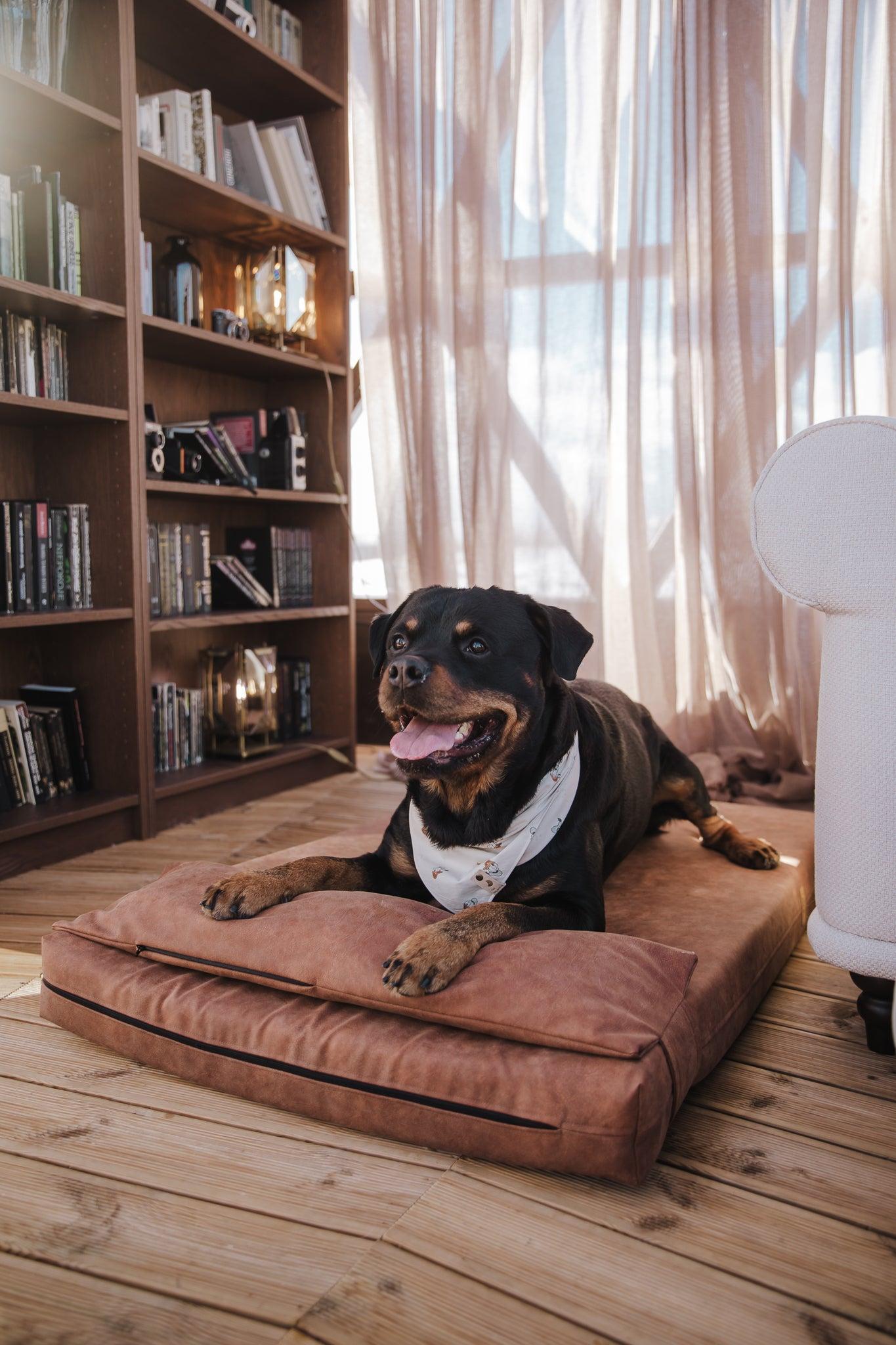 Dog's bedroom bed | ComfySupport+ | 2-sided | Water resistant | TAWNY BROWN | animalistus