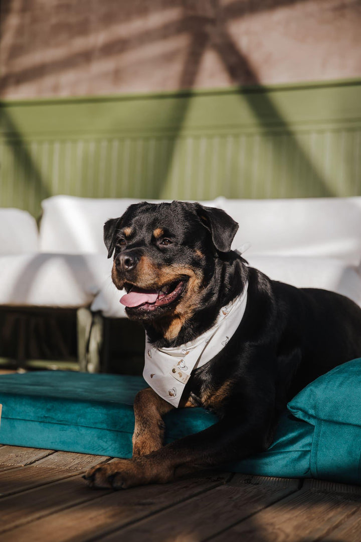 Dog's bedroom bed | ComfySupport+ | 2-sided | OCEAN GREEN | animalistus