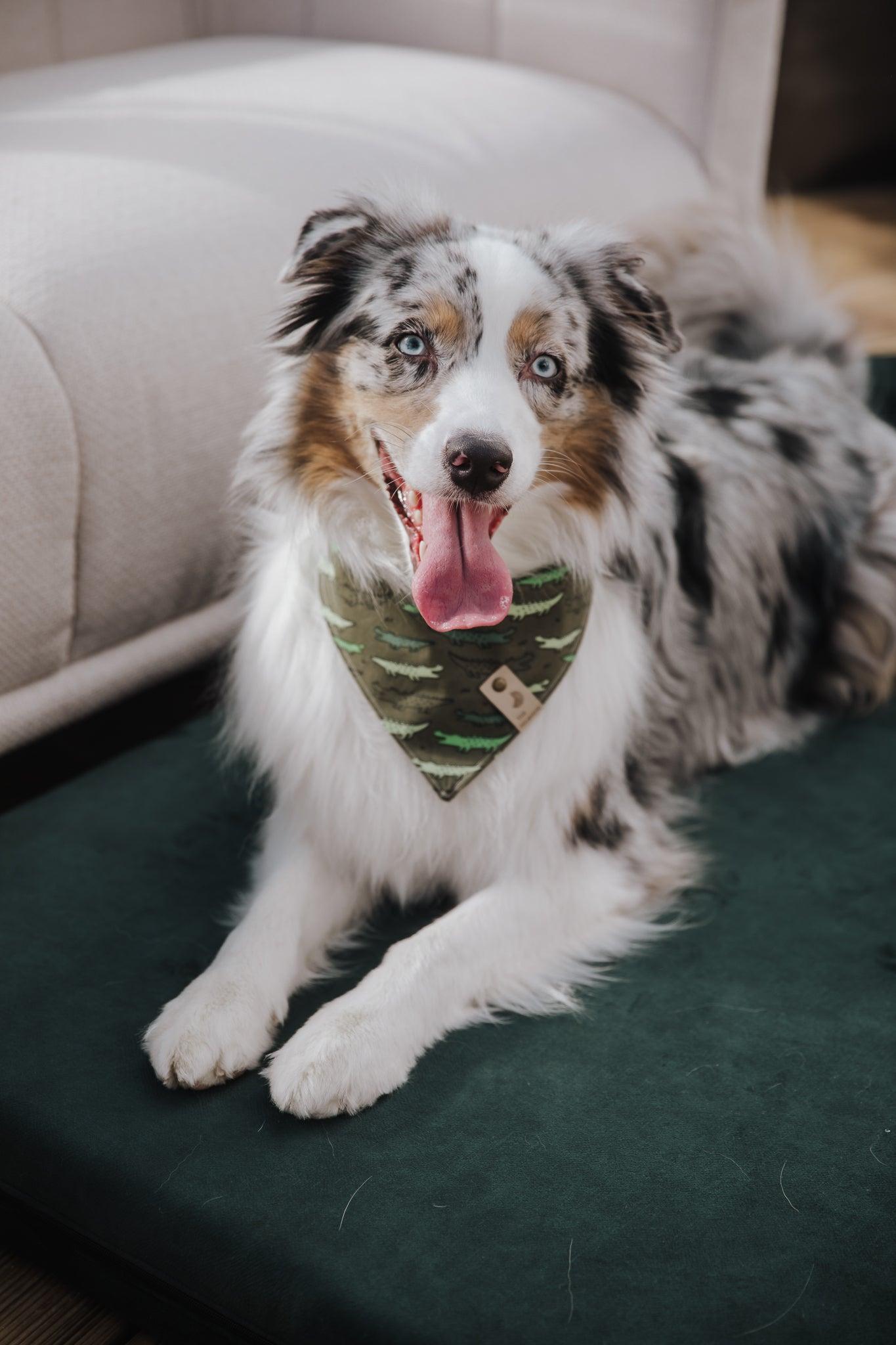 Dog's bedroom bed | ComfySupport+ | 2-sided | EMERALD GREEN | animalistus