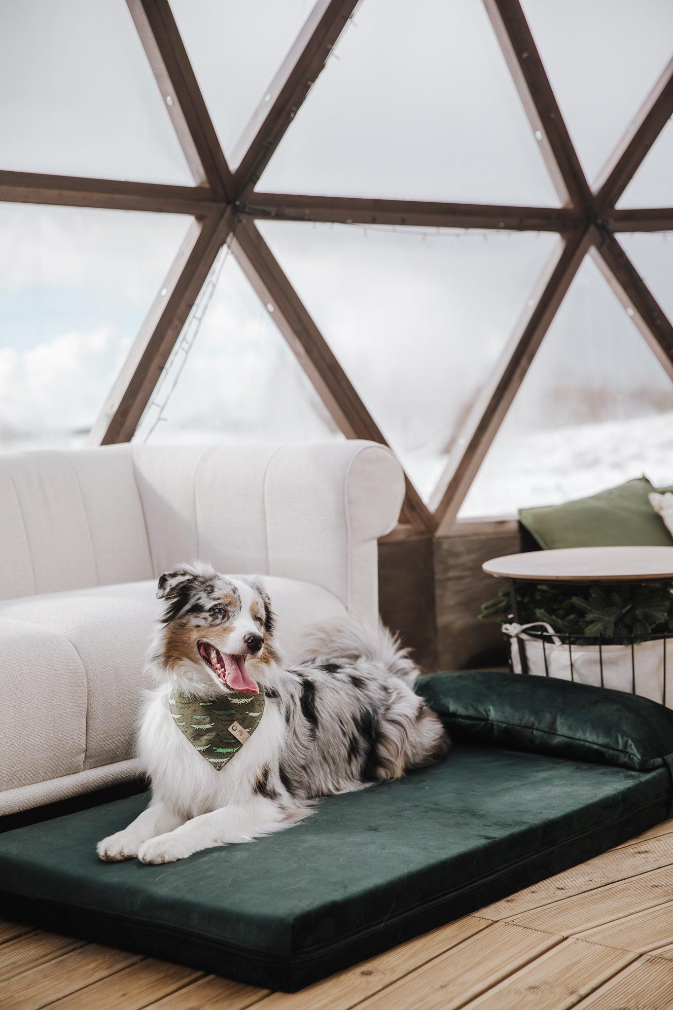 Dog's bedroom bed | ComfySupport+ | 2-sided | EMERALD GREEN | animalistus