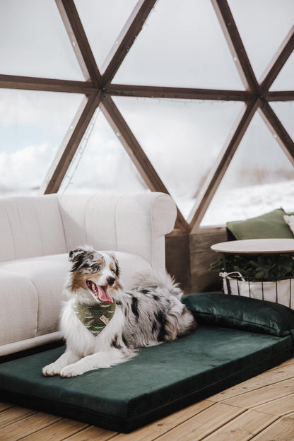 Dog's bedroom bed | ComfySupport+ | 2-sided | EMERALD GREEN | animalistus