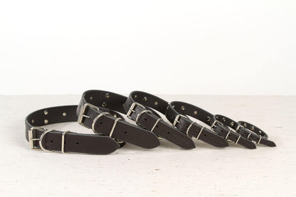 Handmade black leather STUDDED dog collar | animalistus