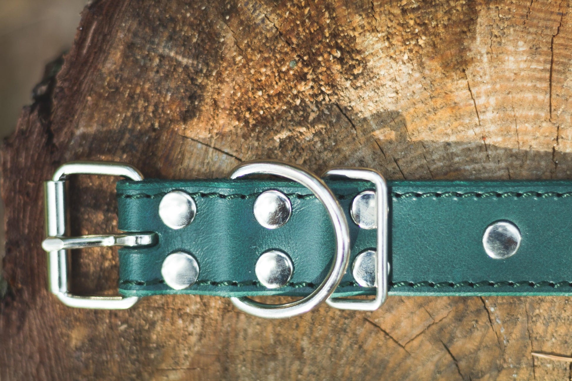 Handmade green leather STUDDED dog collar | animalistus
