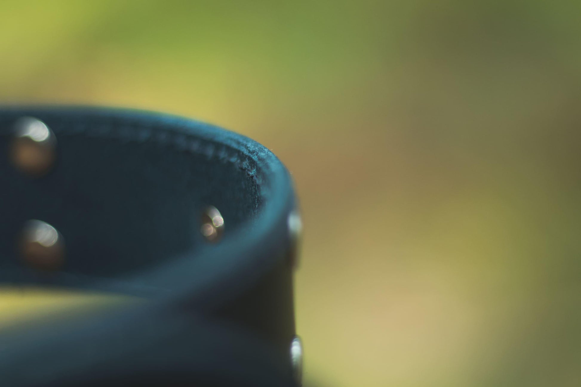 Handmade blue leather STUDDED dog collar | animalistus